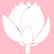 MyBloom (цветочная компания)